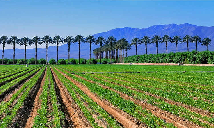 Imperial County